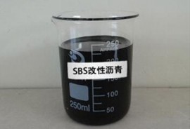 SBS改性麻豆亚洲AV熟女国产